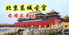 蹂躏肉逼视频中国北京-东城古宫旅游风景区